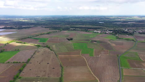 Ländliche-Landwirtschaft-Luftaufnahme-Weinberge-Felder-Frankreich-Herault